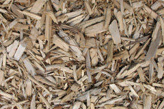 biomass boilers Trewennan