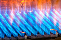 Trewennan gas fired boilers